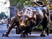 Bull